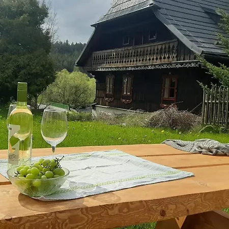 Apartman Nad Teplou Vltavou Lenora Exterior photo