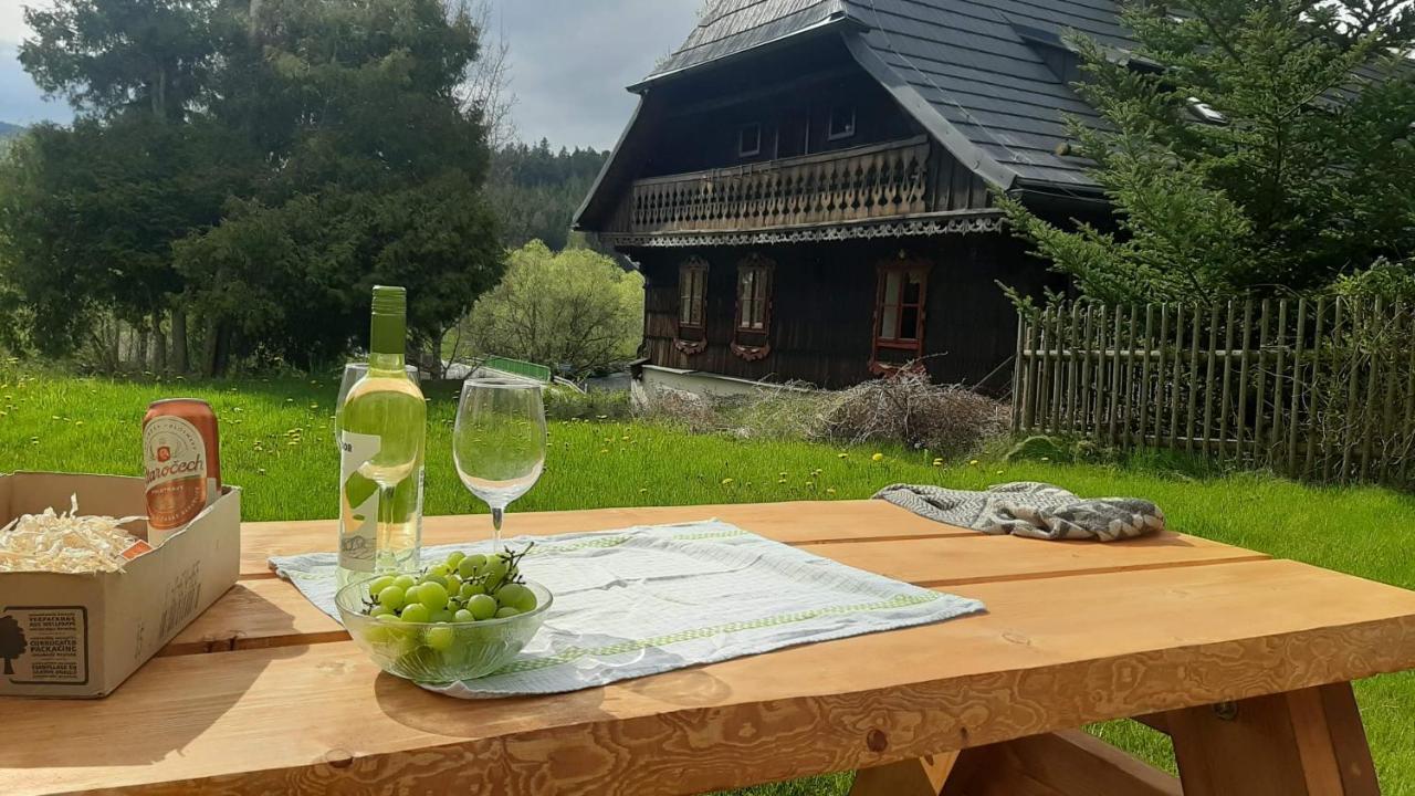 Apartment Nad Teplou Vltavou